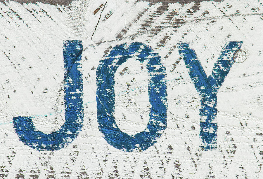 Joy Sign Photograph by Terry Walsh
