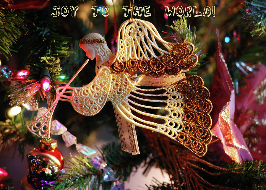 Joy to the World Photograph by Marilyn DeBlock