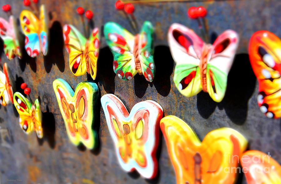 Joyful Butterflies Photograph by Ramona Matei