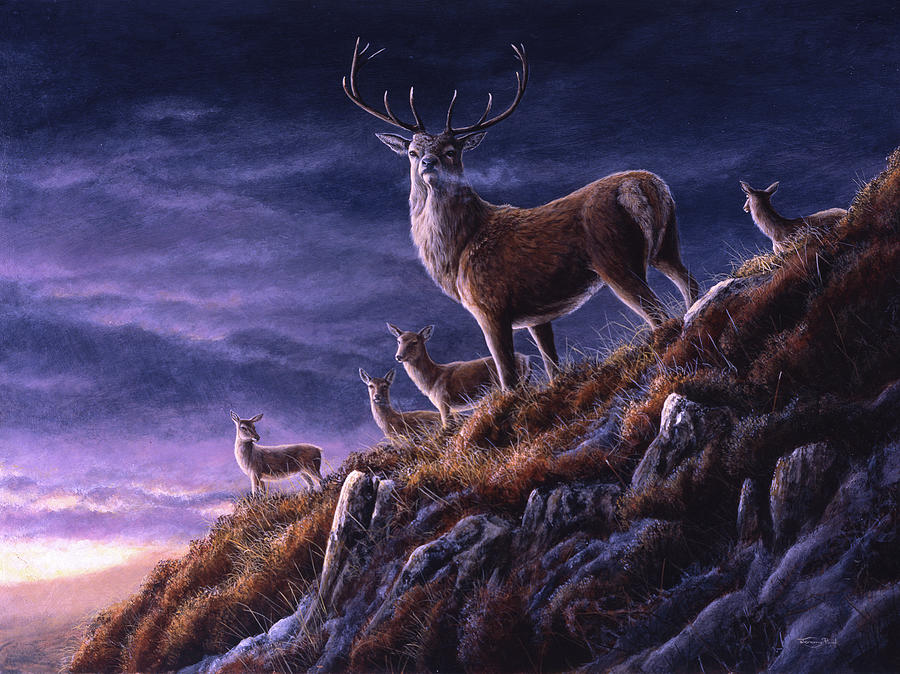 Bucks Painting - Jp114 Threatening Sky Red Deer by Jeremy Paul