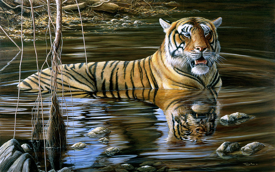 Animal Painting - Jp264 Cooling Off Bengal Tiger by Jeremy Paul