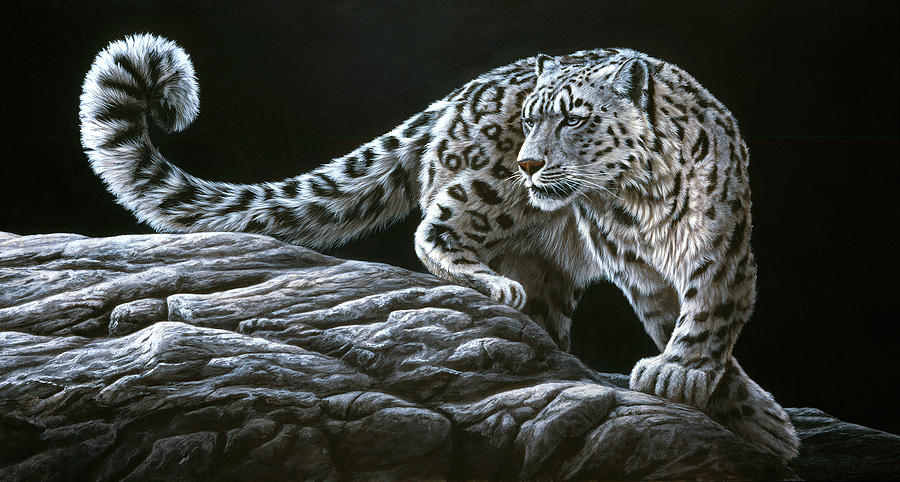 Animal Painting - Jp393 Snow Leopard by Jeremy Paul