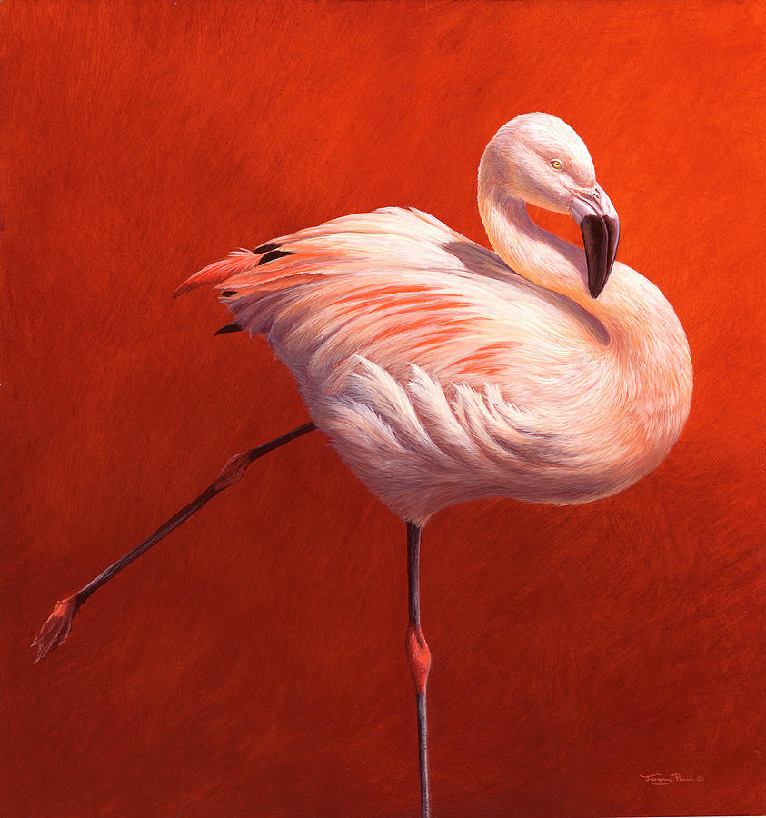 Animal Painting - Jp485 Flame Bird Flamingo by Jeremy Paul