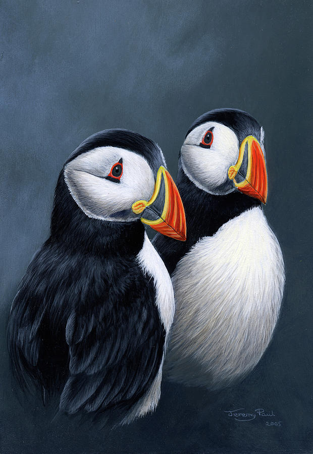 Animal Painting - Jp525 Puffins by Jeremy Paul