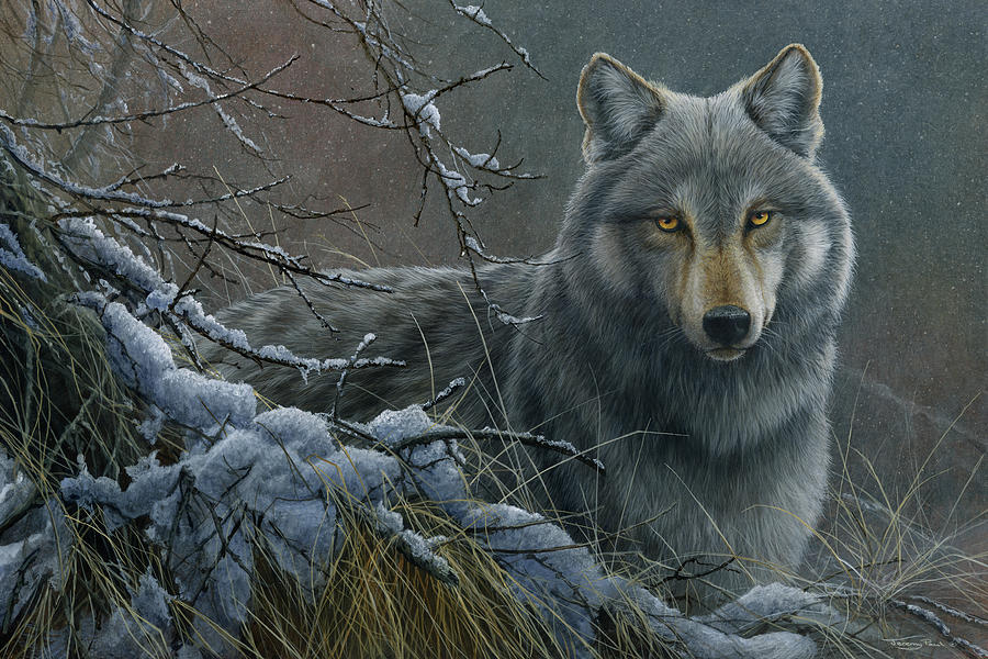 Jp857 Grey Wolf Painting by Jeremy Paul - Pixels