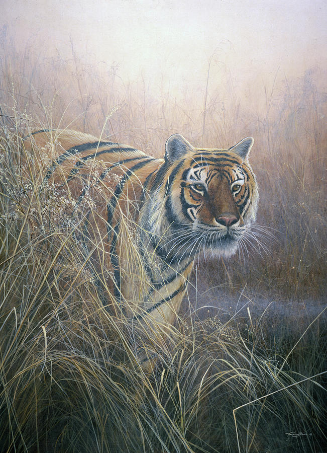 Animal Painting - Jp99 Tiger At Dawn by Jeremy Paul