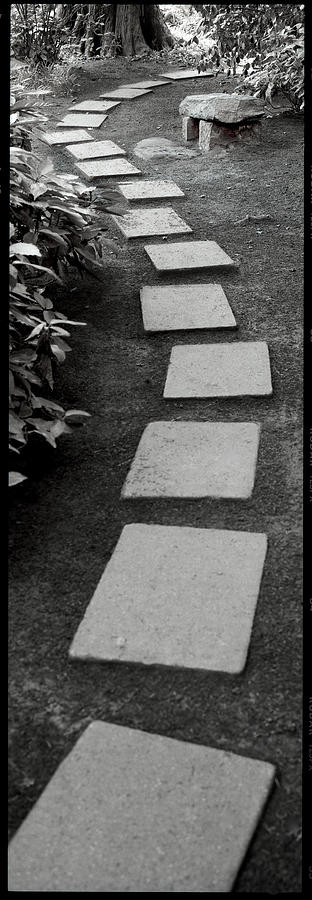 Black And White Photograph - Jpv01 - Japanese Garden I by Alan Blaustein
