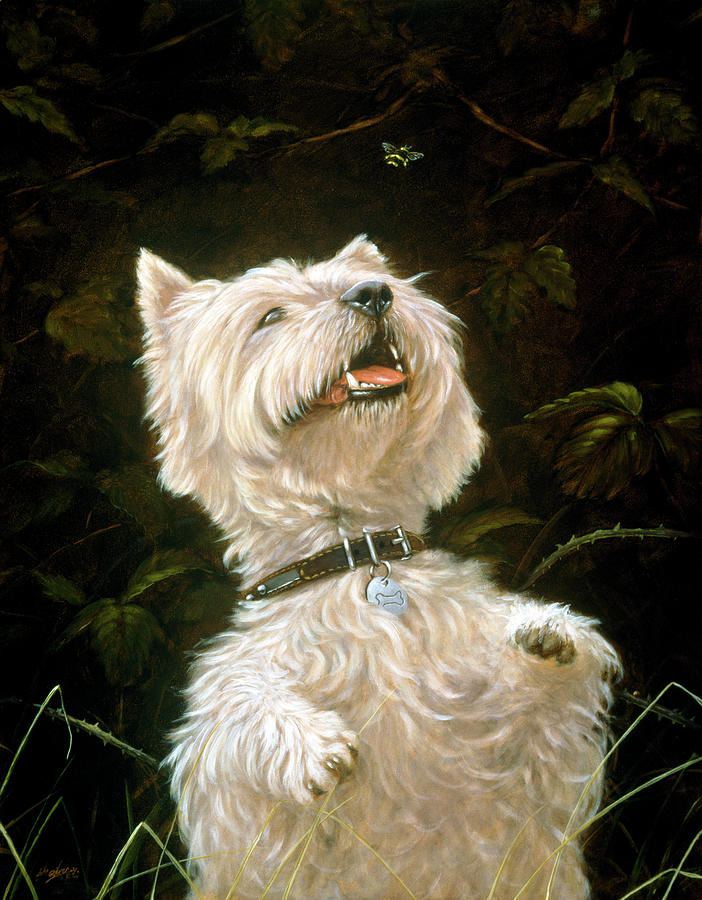 Westie Dog Painting - Js108/a by John Silver