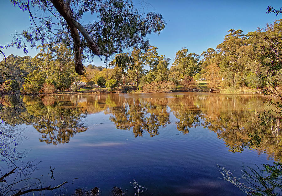 Jubilee Lake Reflections, Daylesford, Victoria, Australia Photograph by Tony Crehan