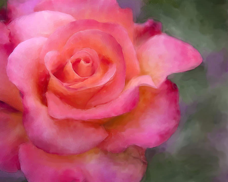 Judys Rose Painting by Jeanette Mahoney