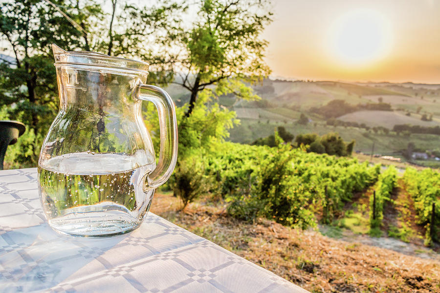 Jug Of Water On Table In Countryside Photograph by Vivida Photo PC