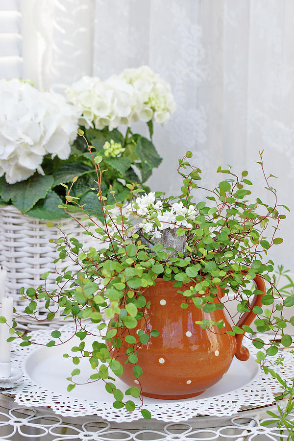 Jug With Pohuehue And Lilac Flowers, White Hydrangea In A Basket Photograph by Angelica Linnhoff
