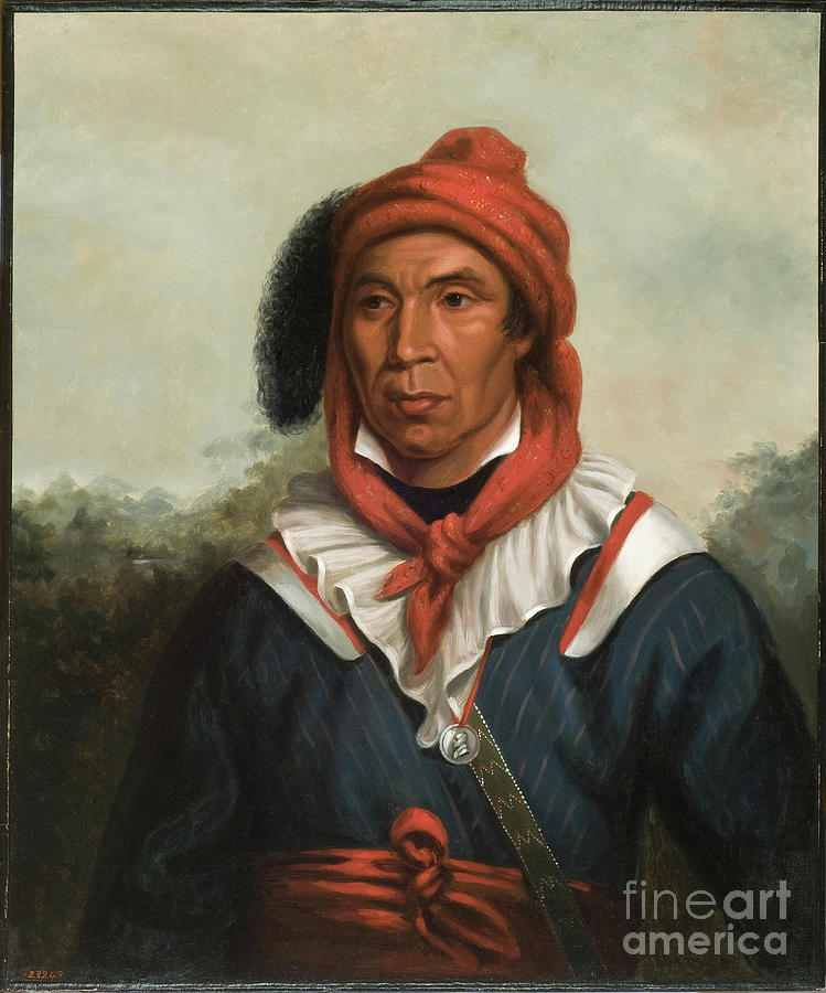 Portrait Painting - Julcee-mathla by Henry Inman