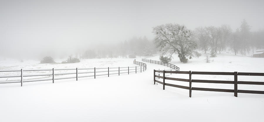 Julian Fence and Snow Photograph by William Dunigan