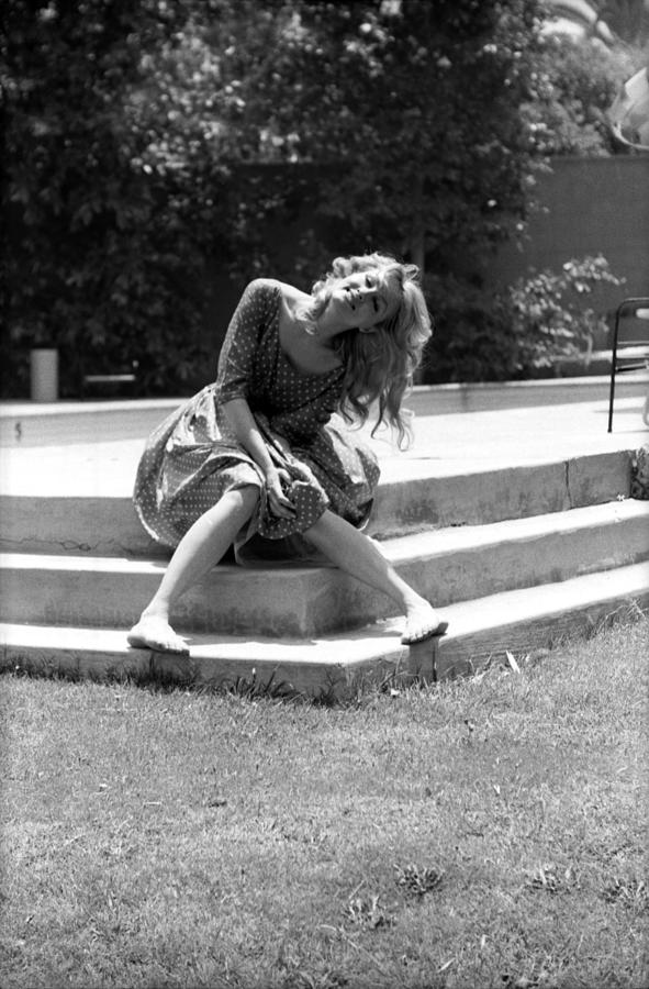 Julie Newmar Seated On Staircase Photograph by Don Ornitz - Fine Art ...