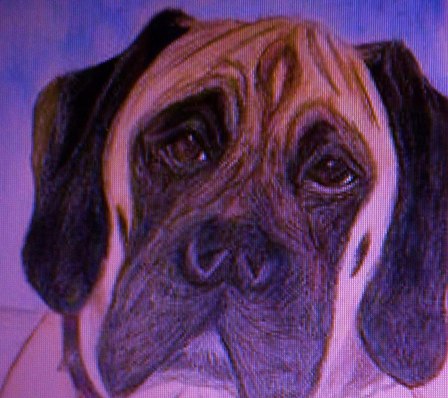Julies Dog Mixed Media by Christy Saunders Church