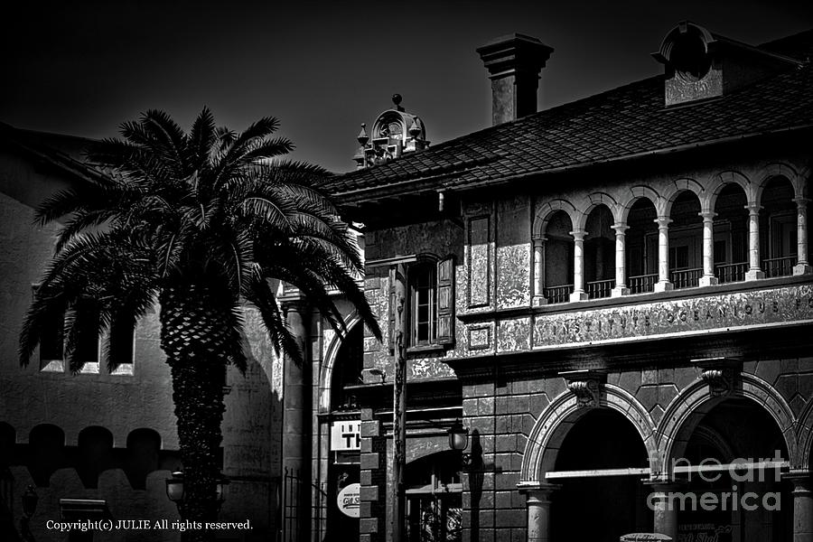 Julie's Photo Monochrome-423 by Fine art photographer JULIE Julie's Photo Monochrome-423 by Fine art photographer JULIE