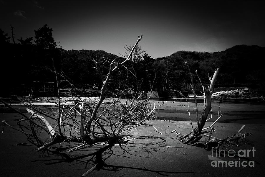 Julie's Photo Monochrome-428 by Fine art photographer JULIE Julie's Photo Monochrome-428 by Fine art photographer JULIE