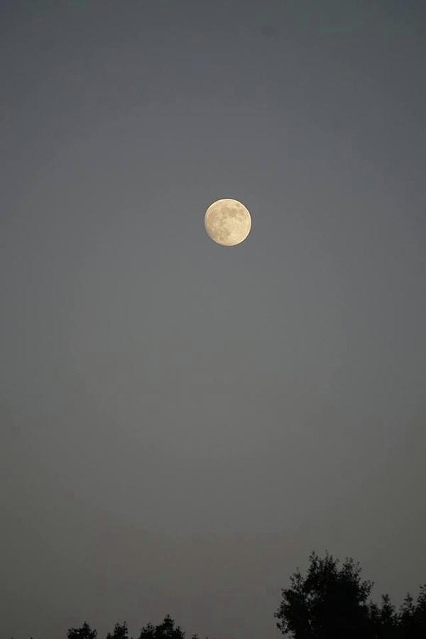 July Moon Photograph by Melanie Helmer - Fine Art America