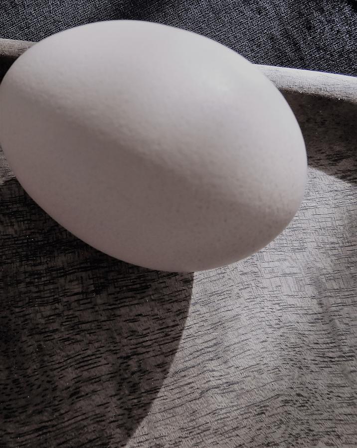 Jumbo Egg Photograph