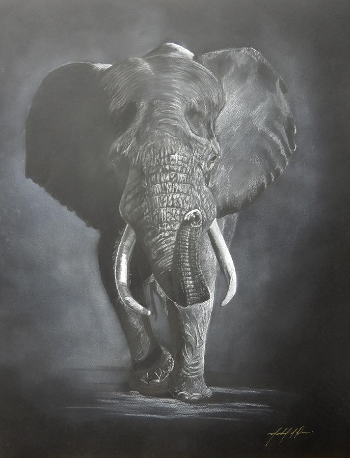 Jumbo Drawing by Michael A Davis - Fine Art America