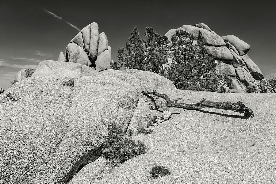 Jumbo Rocks Landscape in Black and White Photograph by Marisa Geraghty Photography