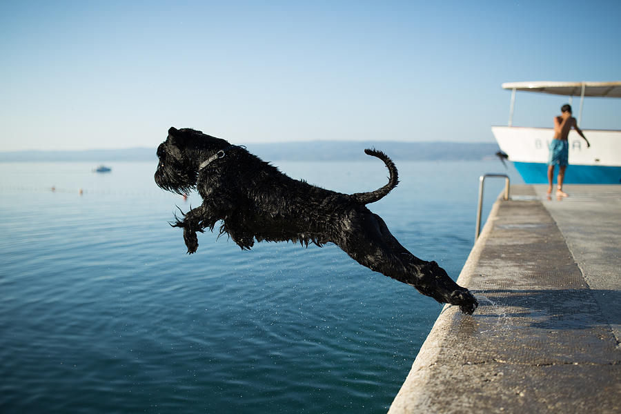 Jump Photograph by Adnan Mahmutovic