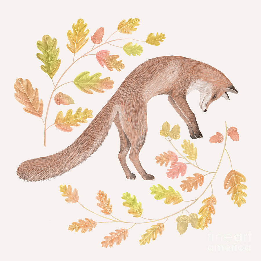 Animal Drawing - Jumping Fox, 2021 Graphite Pencil And Digital by Stacy Hsu