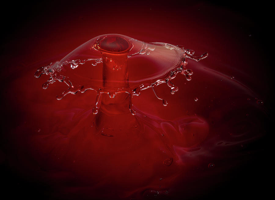 Jumping Jello Photograph by Jean Noren Jumping Jello Photograph by Jean Noren