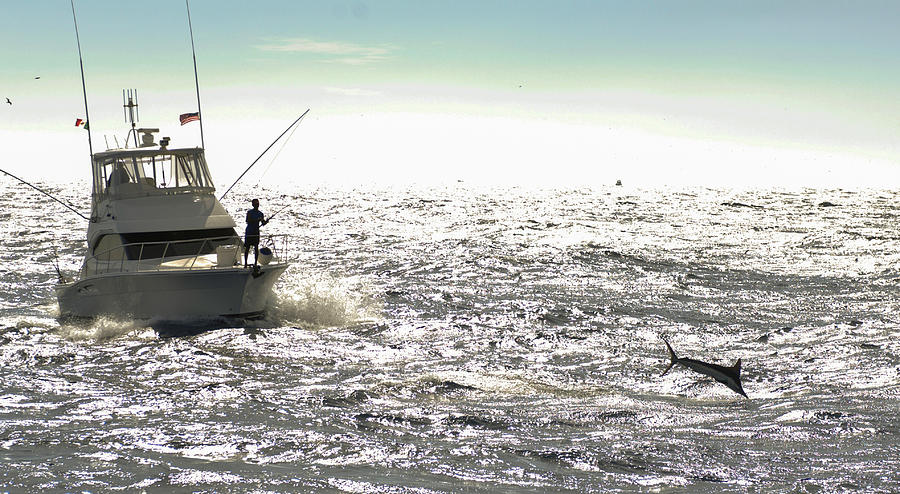 Jumping Marlin off bow Photograph by David Shuler