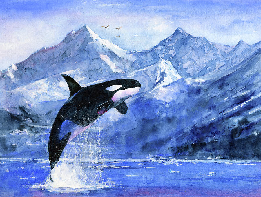 Jumping Orca Alaska Painting by John D Benson