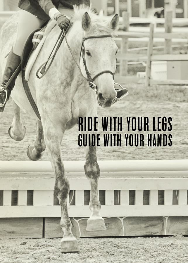 JUMPING VERTICAL quote Photograph by Dressage Design