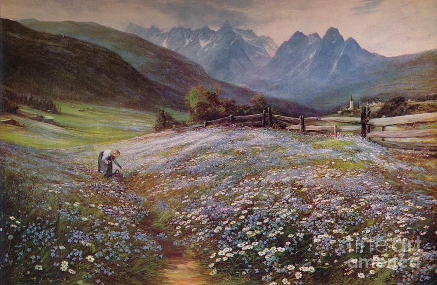 June In The Austrian Tyrol, C1892 Drawing by Print Collector