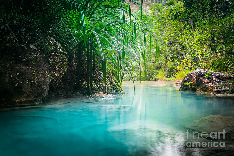 Magic Photograph - Jungle Landscape With Flowing Turquoise by Perfect Lazybones Magic Photograph - Jungle Landscape With Flowing Turquoise by Perfect Lazybones