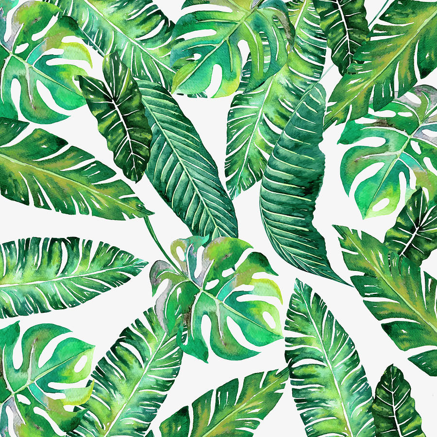 Jungle Leaves, Banana, Monstera by Maria Heyens.
