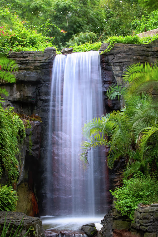 Jungle Waterfall Photograph by Mark Andrew Thomas