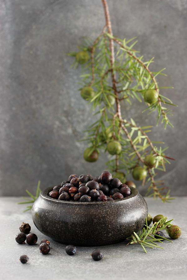 Juniper Berries In A Bowl With A Sprig Photograph by Petr Gross