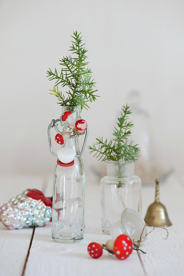 Juniper Branches With Decorative Toadstools In Small Bottles Photograph by Elisabeth Berkau