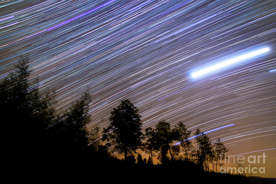 Jupiter And Star Trails Above Silhouette Of Trees Photograph by Miguel Claro/science Photo Library