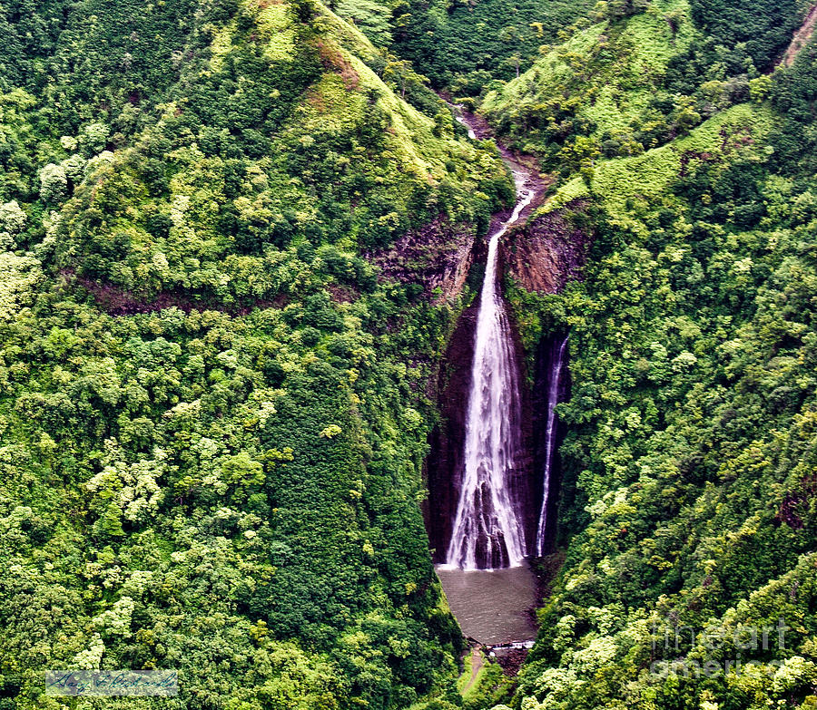 Jurassic Park Waterfall Photograph by Gary F Richards