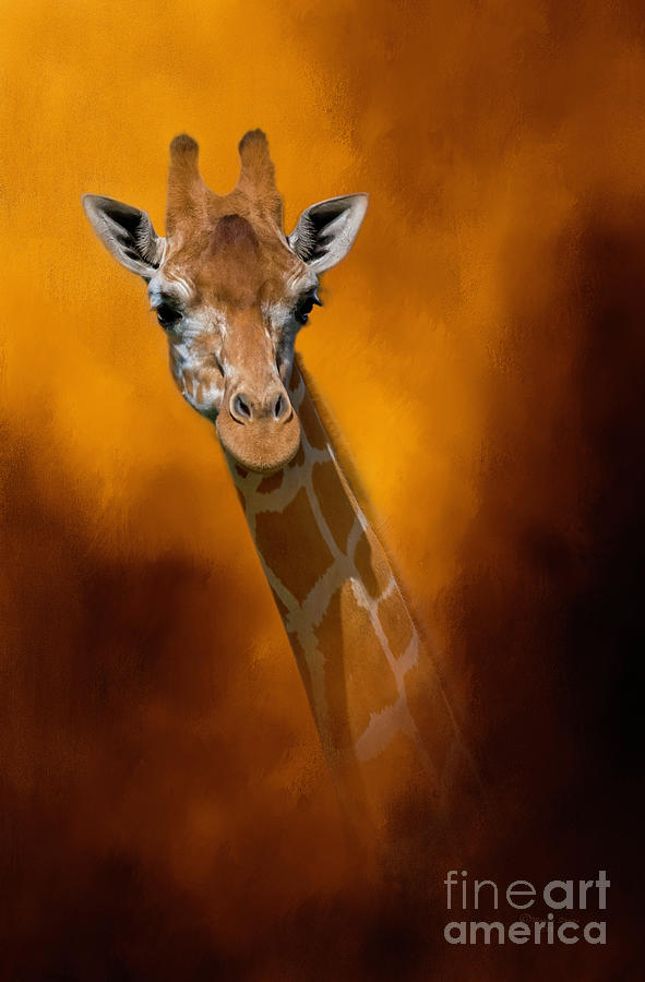 Wildlife Mixed Media - Just A Look by Marvin Spates