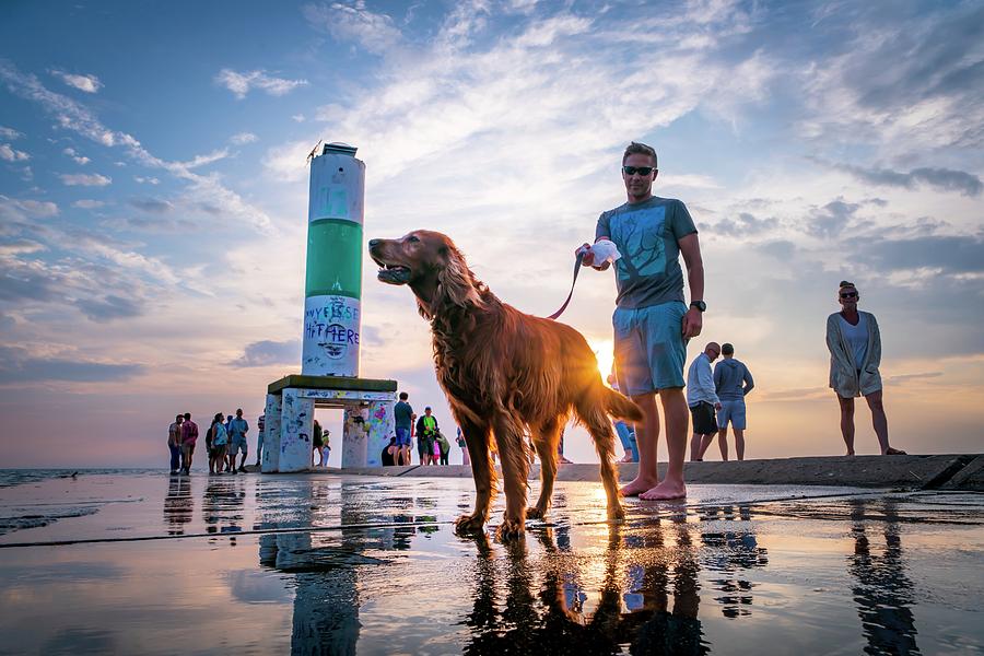 are dogs allowed at holland state park