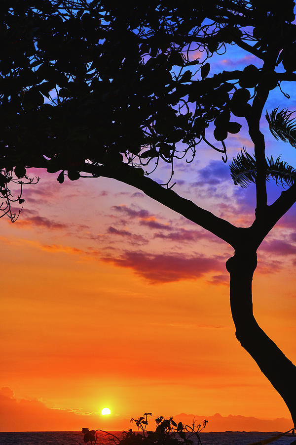 Just another Kona Sunset Photograph by John Bauer