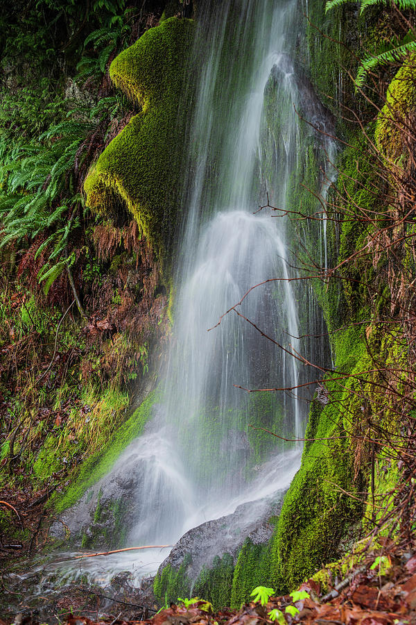 Waterfall Photograph - Just Another Wet Spot by Bob VonDrachek