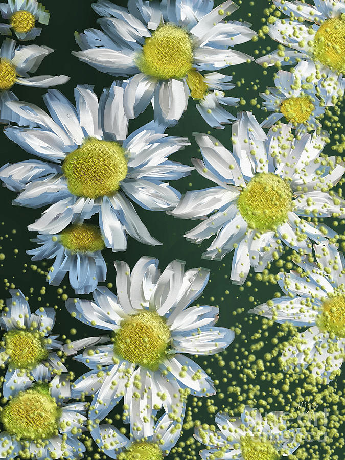 Just Crazy For Daisies by Lois Bryan Just Crazy For Daisies by Lois Bryan