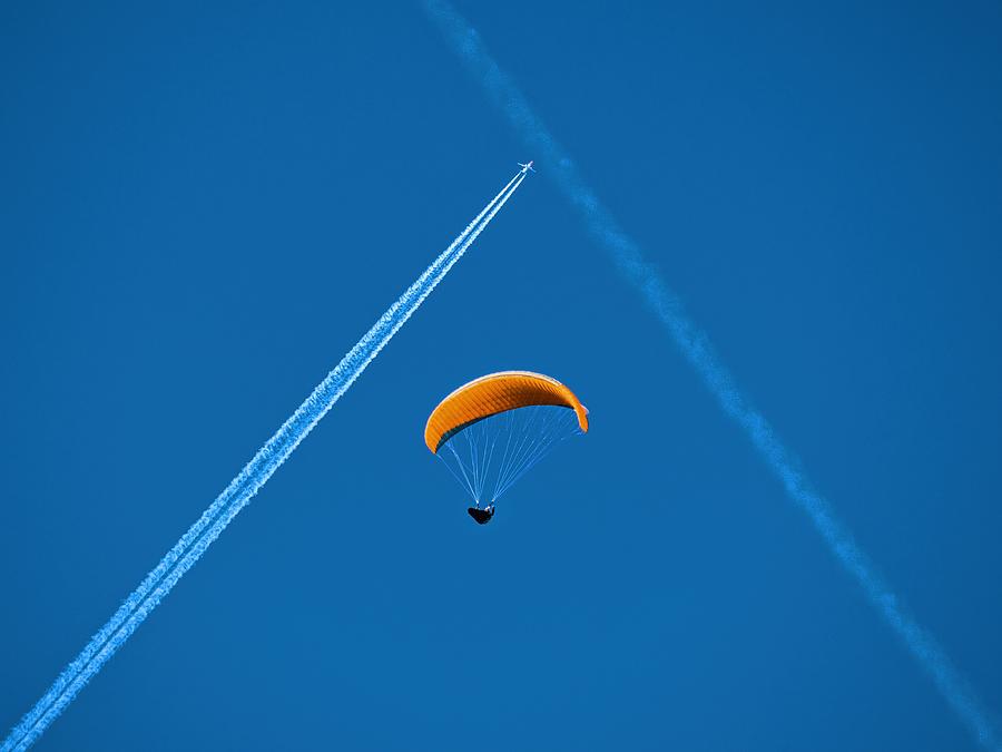Just Flying Photograph by Roman Chuda