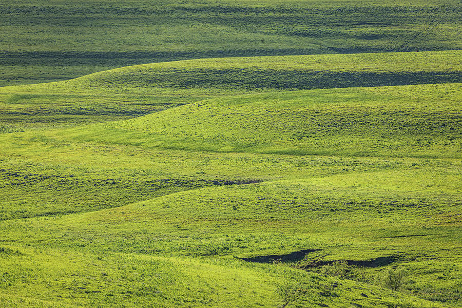 Just Green by Scott Bean Just Green by Scott Bean