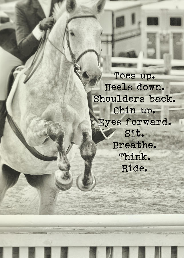 JUST JUMP IT quote Photograph by Dressage Design