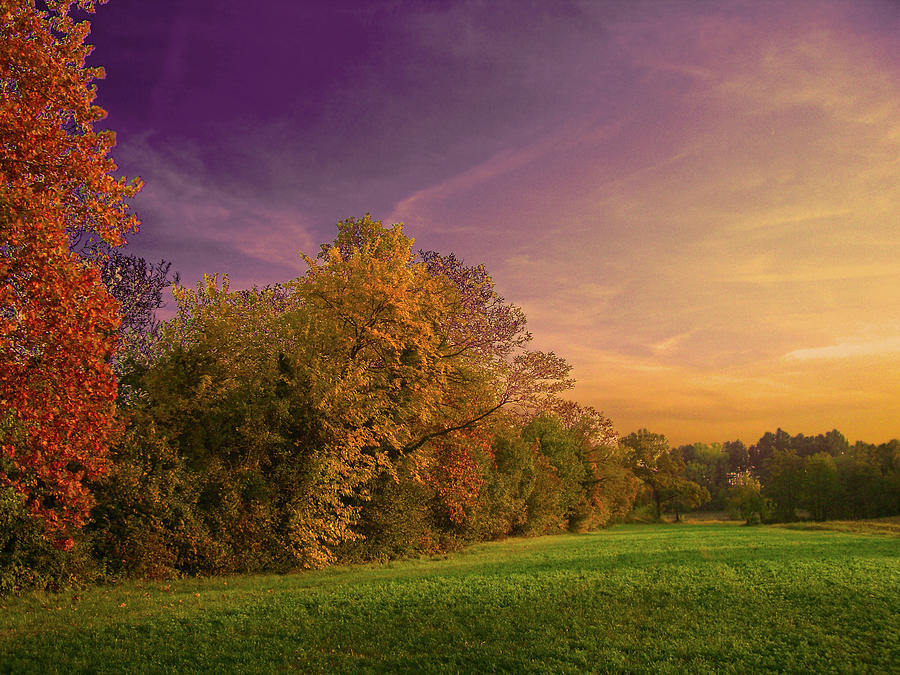 Just Other Fall Photograph by Dima Lauzzana Just Other Fall Photograph by Dima Lauzzana