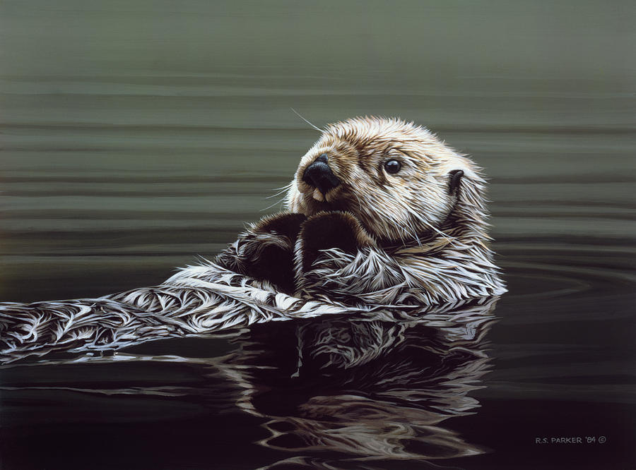 Just Resting - Sea Otter Painting by Ron Parker